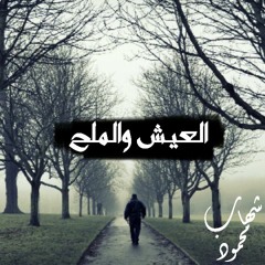 Shehap MaHmoud - El 3eash w El Mal7 | العيش والملح