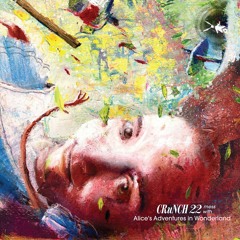CRuNCH 22 - Down the Rabbit-Hole