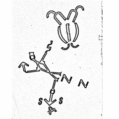 Chacarera Del Pensador (R. A. Carnota)