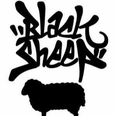 BLACK SHEEP- Raff E X Don Canasa Of ROW4
