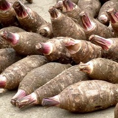 Lei - Tei - Dalo - Sky - Black - Remix - Requested - By - Epeli - Lagiloa