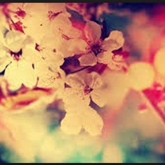 Don't Forget To Have Fun