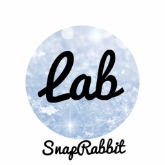 SnapRabbit & NikMulligan3 - Dragon Vale Remix (The Lab Remix)