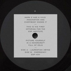 [ESP025] MARK E - Emergency - 12" Vinyl/Digital