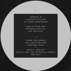 [ESP023] TAMBIEN - Der Elf - 12" Vinyl/Digital
