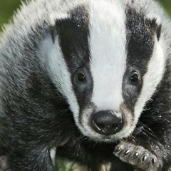 Eye candy orginal @ octolounge 4/15