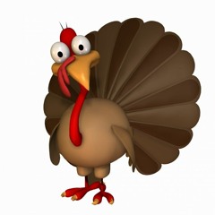 Alternative Turkey