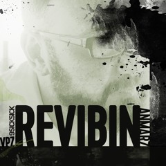 ReVibin