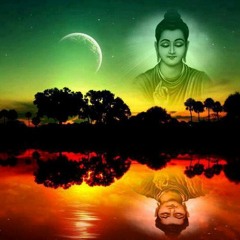 Em đã thấy mùa xuân chưa - Quang Dũng - beat  - Nguyenbaustudio.com - 0962454144