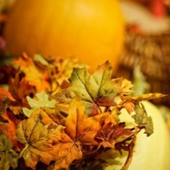 Dear Refeoh, Episode 22- Thanksgiving Fall in Our Nu House