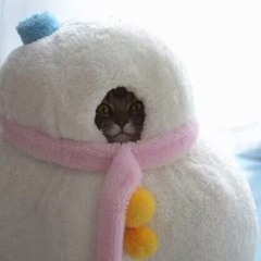 Sunday Session 09 - 08 - 15