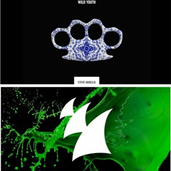 Steve Angello Feat Julia Spada Vs Third Party - The Ocean's Arrival (Lykan Mashup)