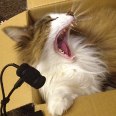 猫のいびき cat's snore