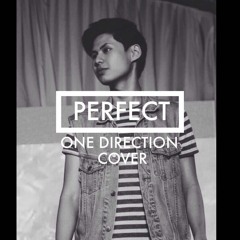 Nikko - Perfect - Cover.mp3