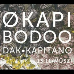 Interview with ØKAPI | Before Party | 13/11/2015