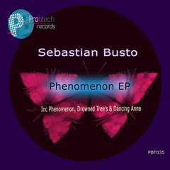 Sebastian Busto - Phenomenon [Pro - B-Tech] (Preview)
