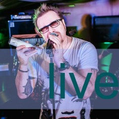 Владимир Пресняков (live 2013) - Я Помню