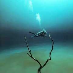 Barry Donovan - Theories Of Escapism