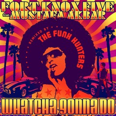 Whatcha Gonna Do (The Funk Hunters Remix)