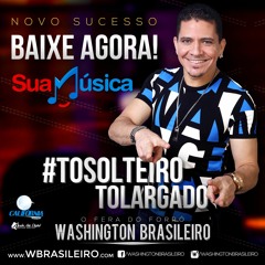 Washington Brasileiro - To Solteiro To Largado