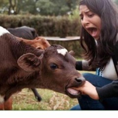 you're the burger now bitch