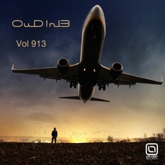 OuD!n13-Vol913 (Lite Licht Records)