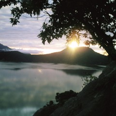 A Veces Siempre -  28