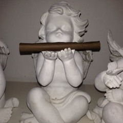 Вхід У Змінному Взутті (ВУЗВ) - Каролін