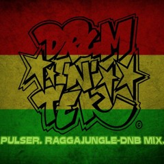 RAGGA JUNGLE - DRUM AND BASS MIX