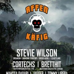 Lars Engqvist @ AffenKäfig ( E-Feld Colonge) 21.11.2015
