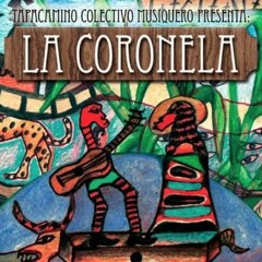 Tapacamino Colectivo Musiquero -  El Camotal