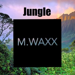 Jungle