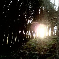 Sam Watson Live @ Freerotation Red Cross Refugee Benefit 13 - 11 - 2015