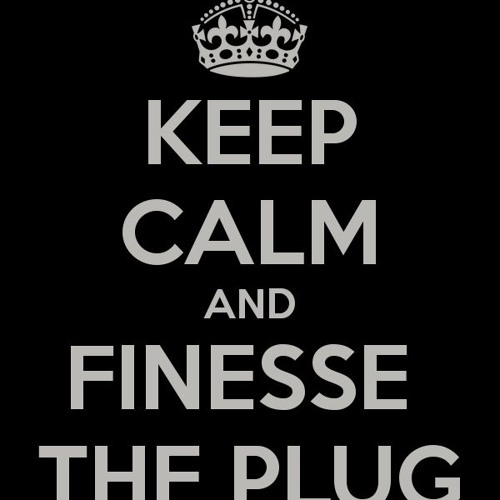 Finessin' The Plug