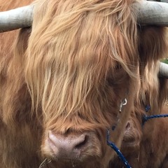 Exogenous Zone (Extended Cut)