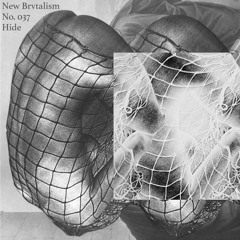 New Brvtalism No. 037 - HIDE