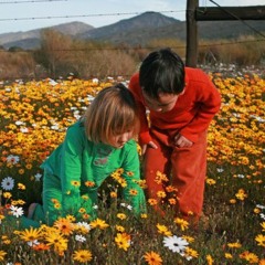 discovering