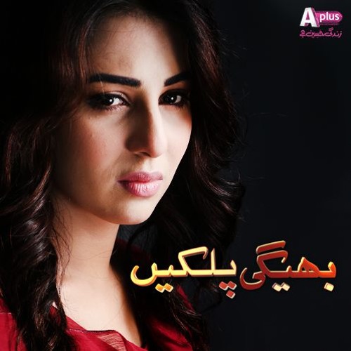 Bheegi Palkein OST Final