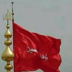 باسم الكربلائي_أمرر على جدث الحسين