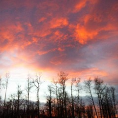 Haptic - High Volume