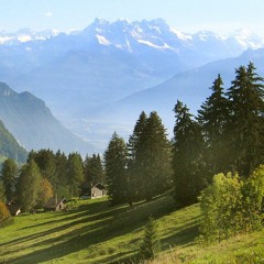 tweezy916 - Like a pro (Twisted Dr. Gunz Remix)