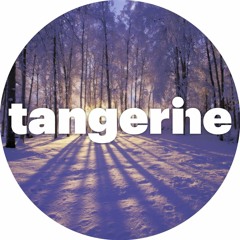 Tangerine 09: Mixed by Justin Steel (Winter Edition)