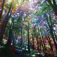 FOREST STYLE RULES