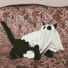 VAYGRANT 'Where You At Vay' (Freestyle) Prod. By STEEZD