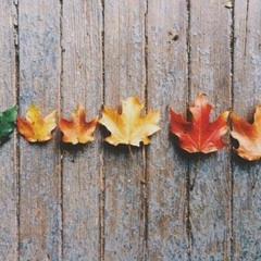 Зомб X Вася Кимо - В Городе Осень