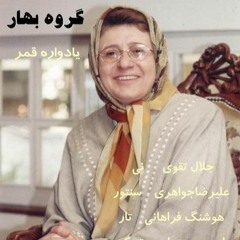 H. Akhavan & Lotfi