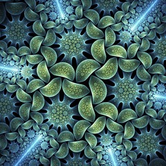 Fractals