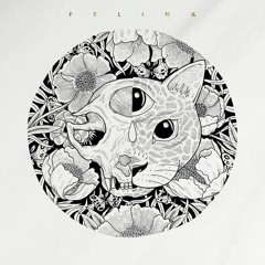 Felina - La Verdad