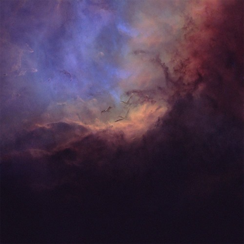 Roman Kouder & Patawawa - Fly