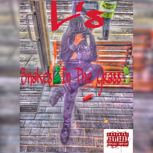 L's - Snakes In The Grass